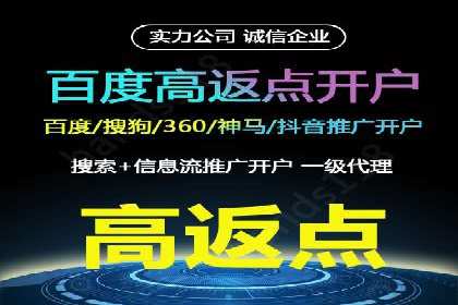 SEM竞价优化策略：成功案例解析